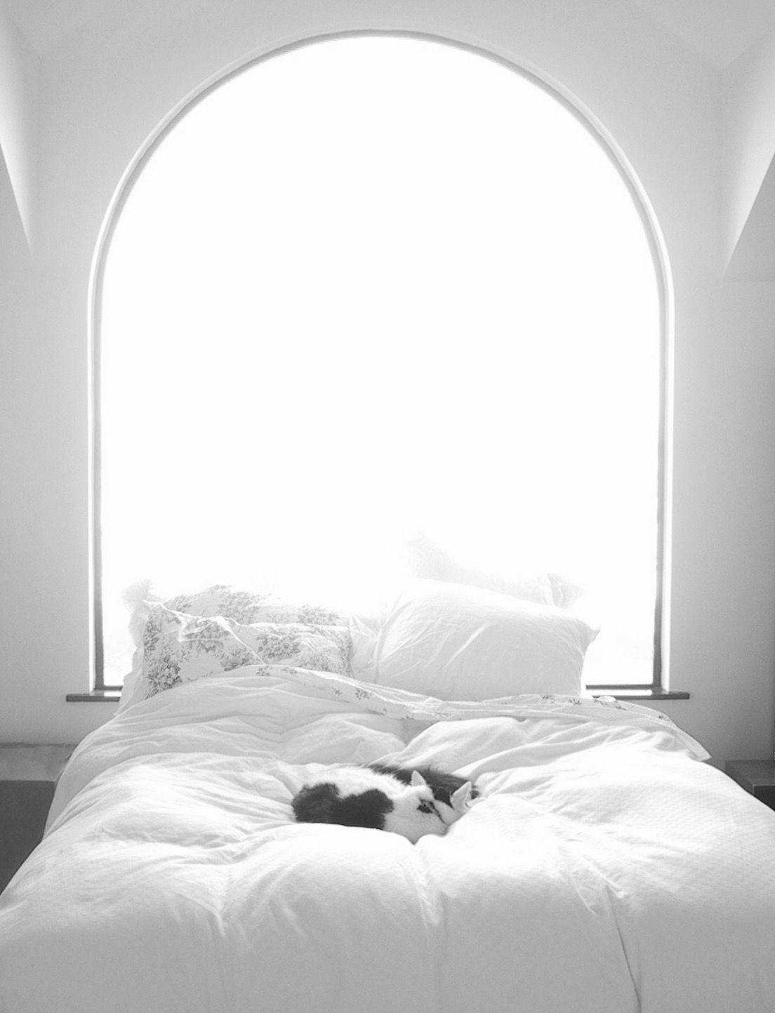 Curled in the Light